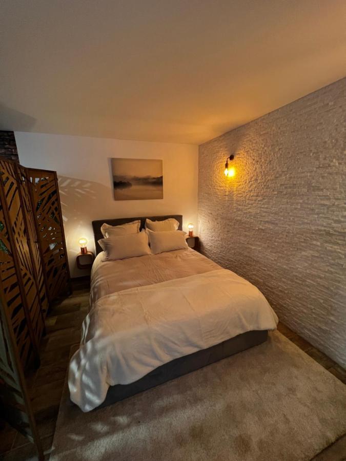 Superbe Appart Avec Jardin Prive Proche Paris Apartman Nogent-sur-Seine Kültér fotó