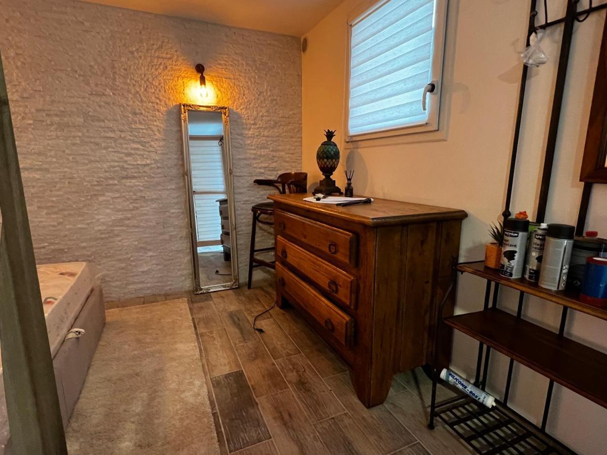 Superbe Appart Avec Jardin Prive Proche Paris Apartman Nogent-sur-Seine Kültér fotó