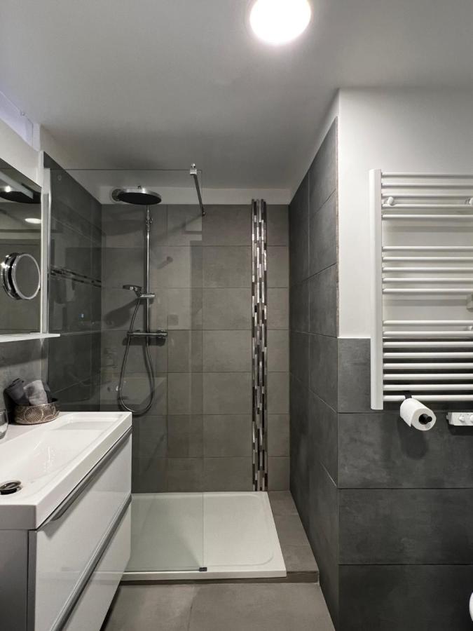 Superbe Appart Avec Jardin Prive Proche Paris Apartman Nogent-sur-Seine Kültér fotó